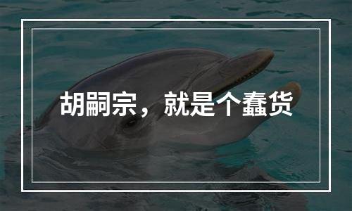 胡嗣宗，就是个蠢货