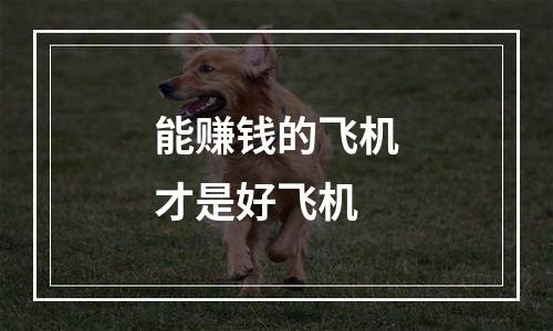 能赚钱的飞机才是好飞机