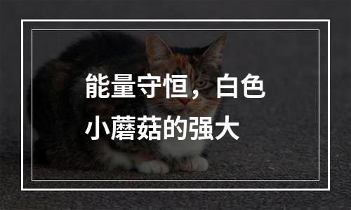 能量守恒，白色小蘑菇的强大