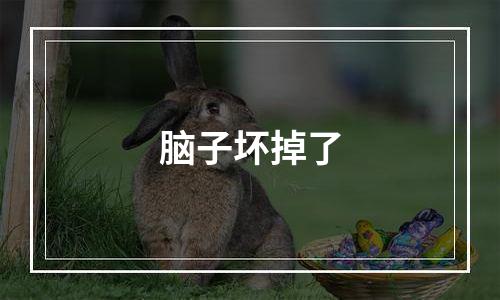 脑子坏掉了