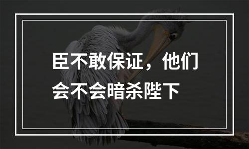 臣不敢保证，他们会不会暗杀陛下
