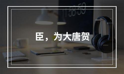 臣，为大唐贺