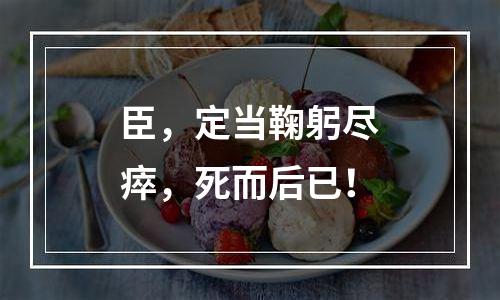 臣，定当鞠躬尽瘁，死而后已！