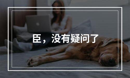 臣，没有疑问了