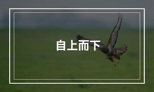 自上而下