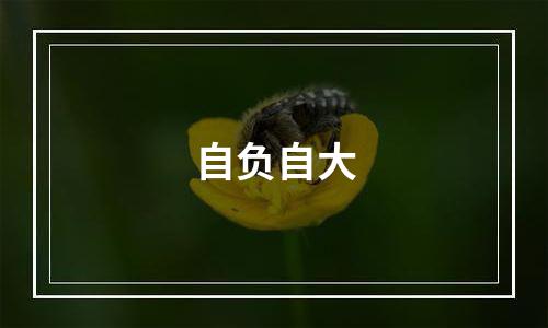 自负自大