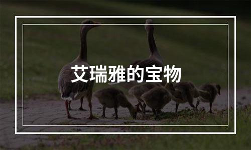 艾瑞雅的宝物