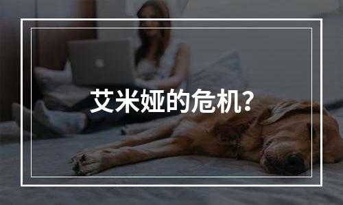 艾米娅的危机？