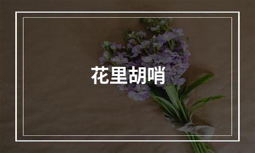 花里胡哨