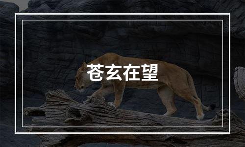苍玄在望