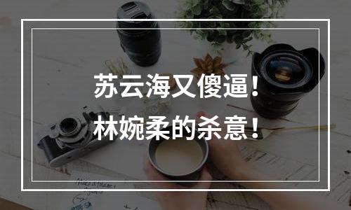 苏云海又傻逼！林婉柔的杀意！