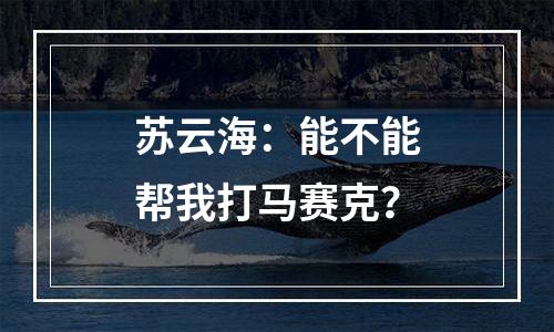 苏云海：能不能帮我打马赛克？