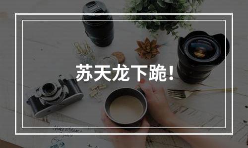 苏天龙下跪！