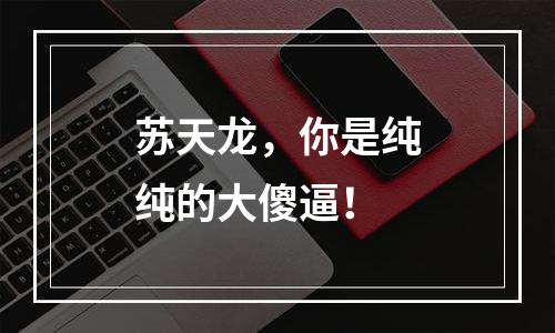 苏天龙，你是纯纯的大傻逼！