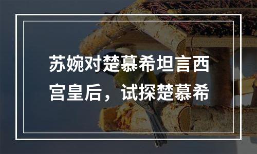 苏婉对楚慕希坦言西宫皇后，试探楚慕希