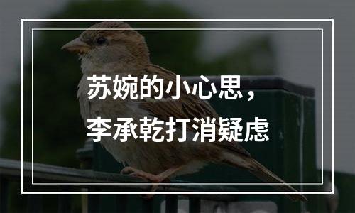 苏婉的小心思，李承乾打消疑虑