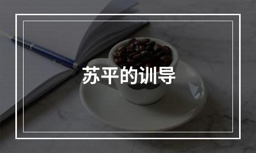 苏平的训导