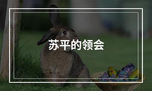 苏平的领会