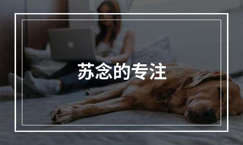 苏念的专注