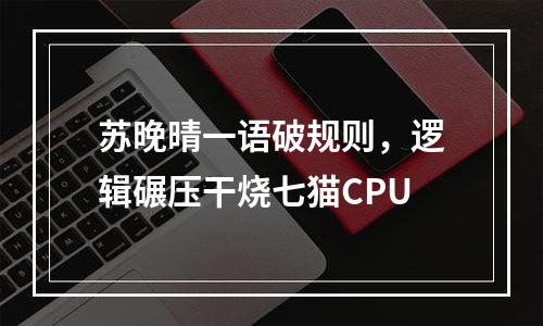 苏晚晴一语破规则，逻辑碾压干烧七猫CPU