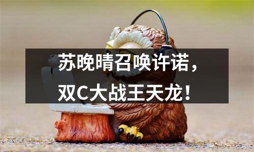 苏晚晴召唤许诺，双C大战王天龙！