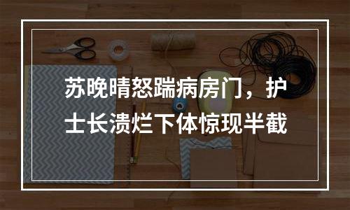 苏晚晴怒踹病房门，护士长溃烂下体惊现半截