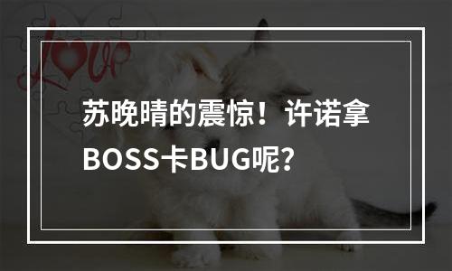 苏晚晴的震惊！许诺拿BOSS卡BUG呢？