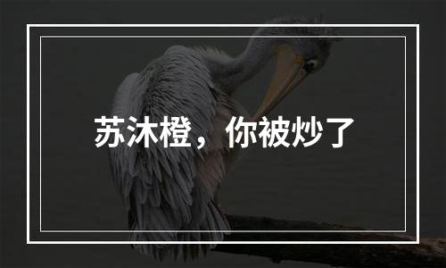 苏沐橙，你被炒了