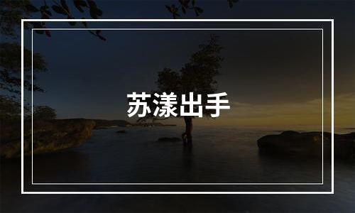 苏漾出手