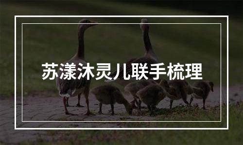 苏漾沐灵儿联手梳理
