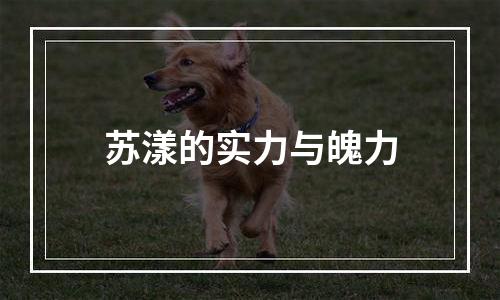 苏漾的实力与魄力