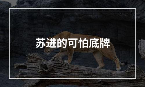 苏进的可怕底牌