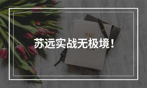 苏远实战无极境！
