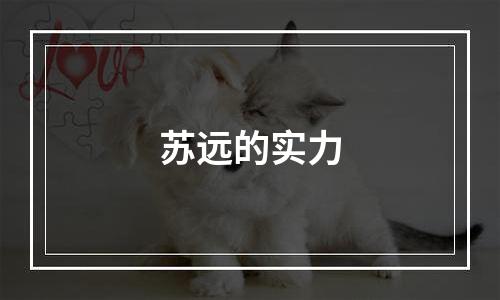 苏远的实力