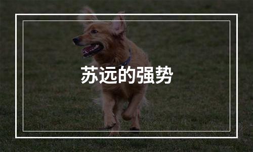 苏远的强势