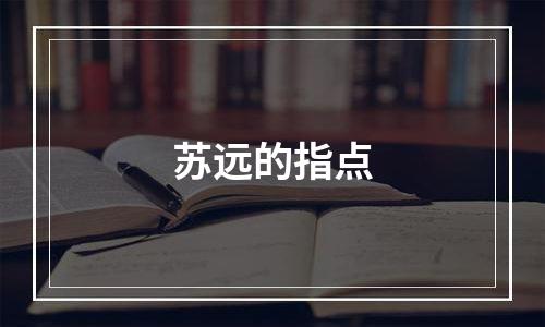 苏远的指点