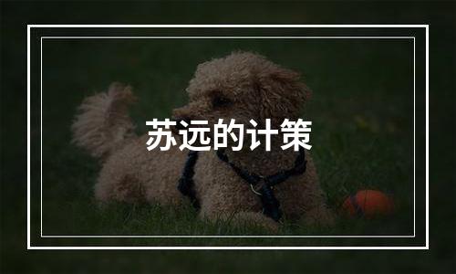 苏远的计策