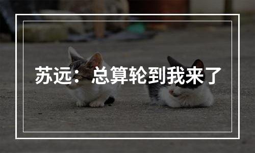 苏远：总算轮到我来了