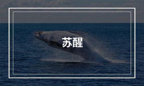 苏醒