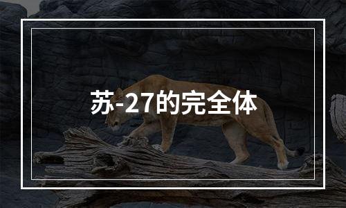 苏-27的完全体
