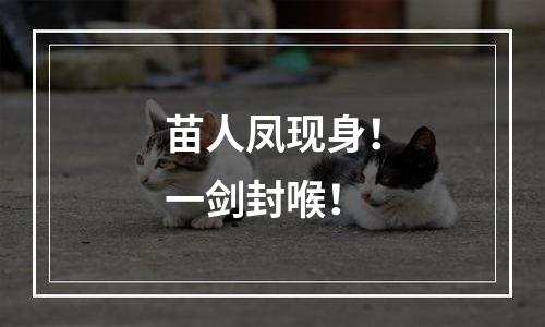 苗人凤现身！一剑封喉！