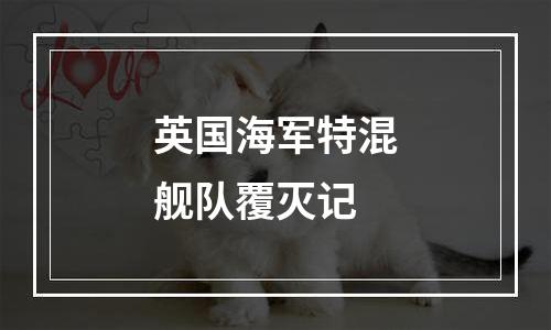 英国海军特混舰队覆灭记