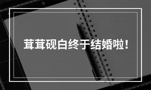 茸茸砚白终于结婚啦！