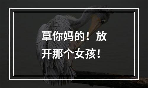 草你妈的！放开那个女孩！
