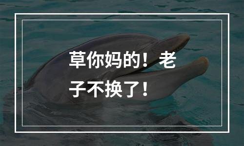 草你妈的！老子不换了！