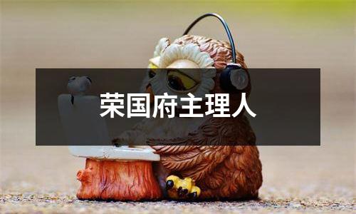 荣国府主理人