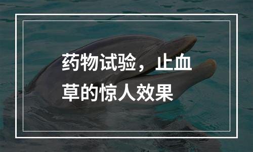 药物试验，止血草的惊人效果