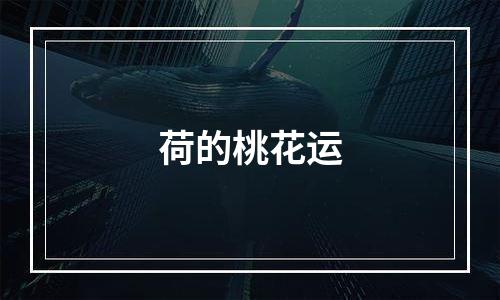 荷的桃花运