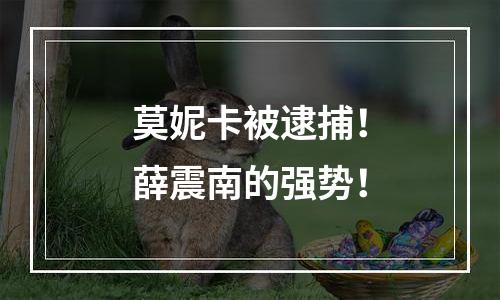莫妮卡被逮捕！薛震南的强势！