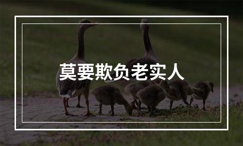 莫要欺负老实人